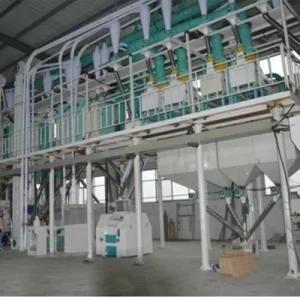 100t Corn Grit Plant