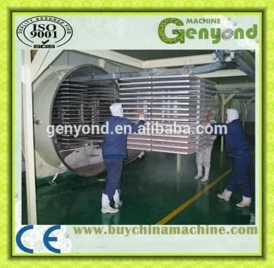 Top Quality Automatic Freeze Drying Machine