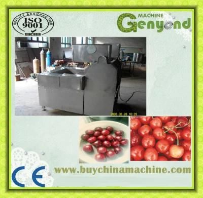 High Efficient Cherry Stem Removing Machine