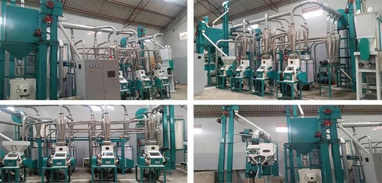 Turnkey Project Maize Flour Mill Machine Line