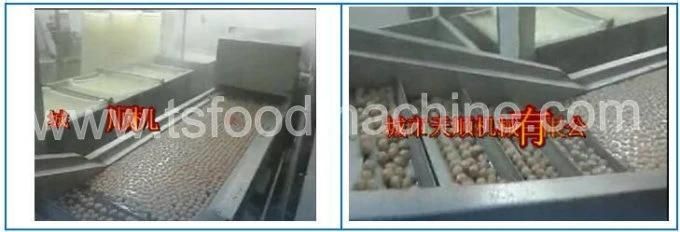 Auto Chicken Feet Beef Feet Pork Foot Blanching and Pre-Cooking Machine