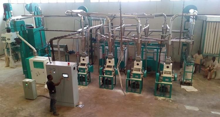 Maize Flour Making Machine for Africa Market