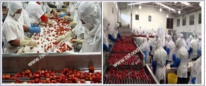 1000kg/H Frozen Strawberry Processing Line