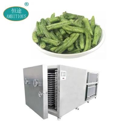 Large Scale Lyophiliser Machine Tray Freeze Dryer Freeze Dried Food Dryer