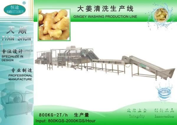 Ginger Cleaning Processing Plant Ginger Washing Machine