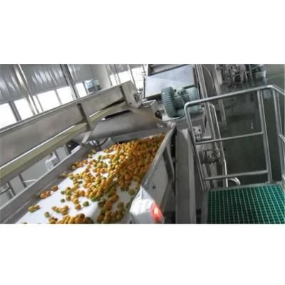 Juice Production Line Extractor Juicer Sterilizer Filling and Packing