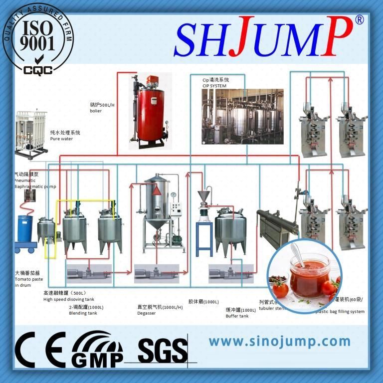 500kg Per Hour Ketchup Making Machine-Turn Key Solution