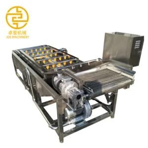 Vegetable Cleaning Machine