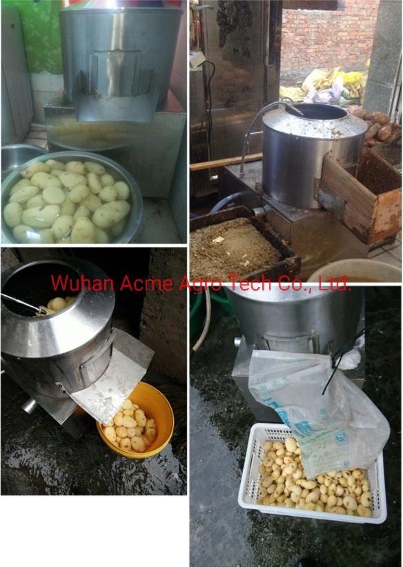 Potato Washing and Peeling Machine