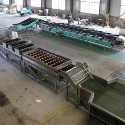 Apple Orange Lemon Mango Washing Waxing Grading Line for Factory