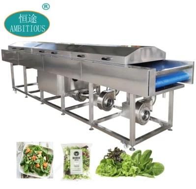 Vegetable Salad Vibration Drainer Dewatering Machine