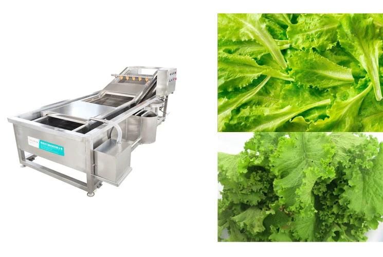 Restaurant Kitchen Hotel Small Vegetable Washing Machine High Pressure Lettuce Bubble Washer