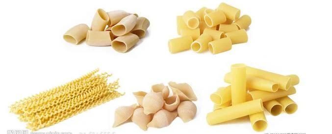 Hot Selling Macaroni Pasta Processing  Extruder