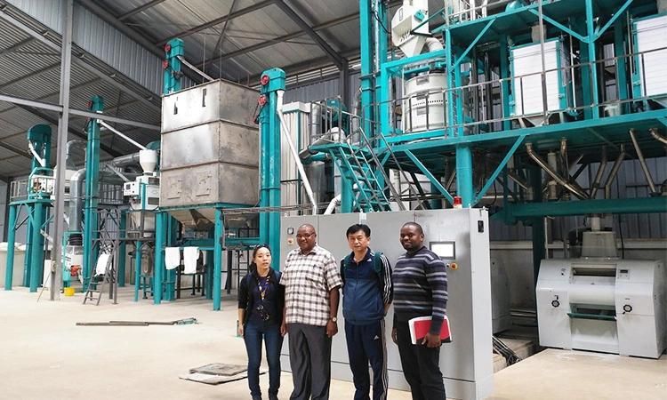 Factory Price Complete Line of 50t/24h Maize Flour Milling Machine