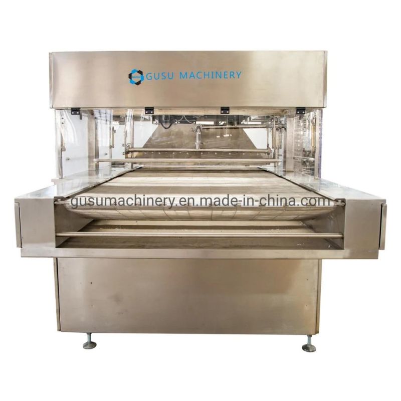 Enrobing Line for Cereal Bars Tyj800