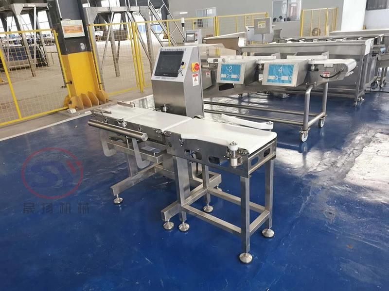 Food and Beverage Processing Automatic Check Weigher Machine