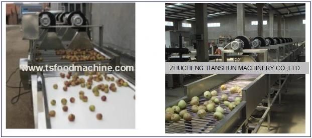 Stainless Steel Raw Potato, Carrot Onion Apple Drying Machine