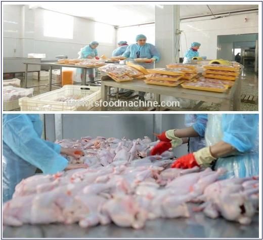 Fried Meat Snack Food Chicken Production Line Price