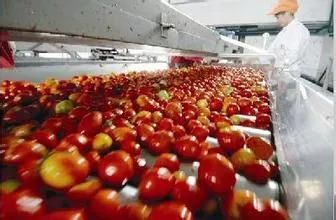 Shanghai High Quality Tomato Jam Processing Plant