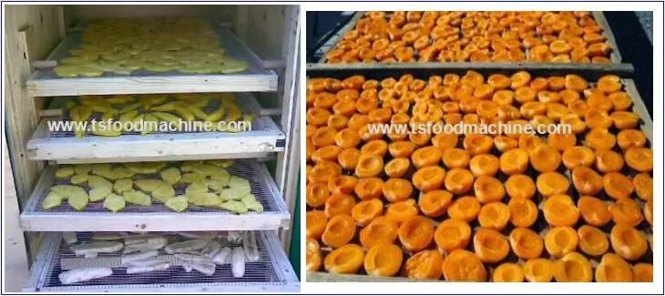 Fruit Dryer and Fruit and Vegetable Drying Machine