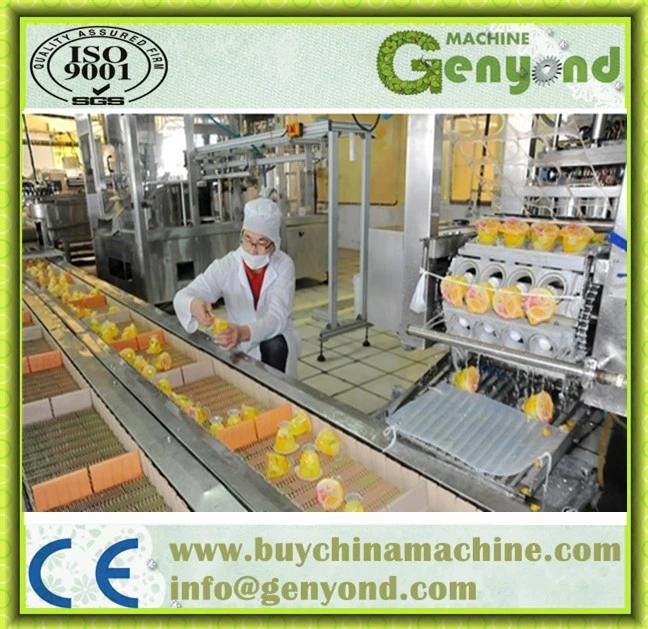 High Quality Chocolate Pudding Production Line