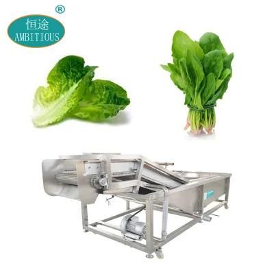 Air Bubbles Vegetable Washer Green Leaf Vegetable Lettuce Spinach Washing Machine