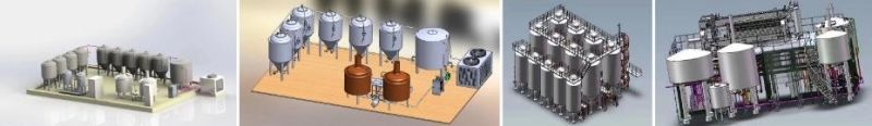 Cassman Beer Brewing Equipment Micro Brewery 1000L 2000L Per Batch