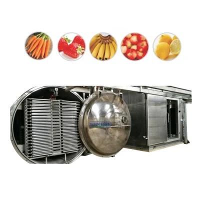 Apple Slice Vacuum Freeze Dryer Lyophilization Machine for Mango Cubes