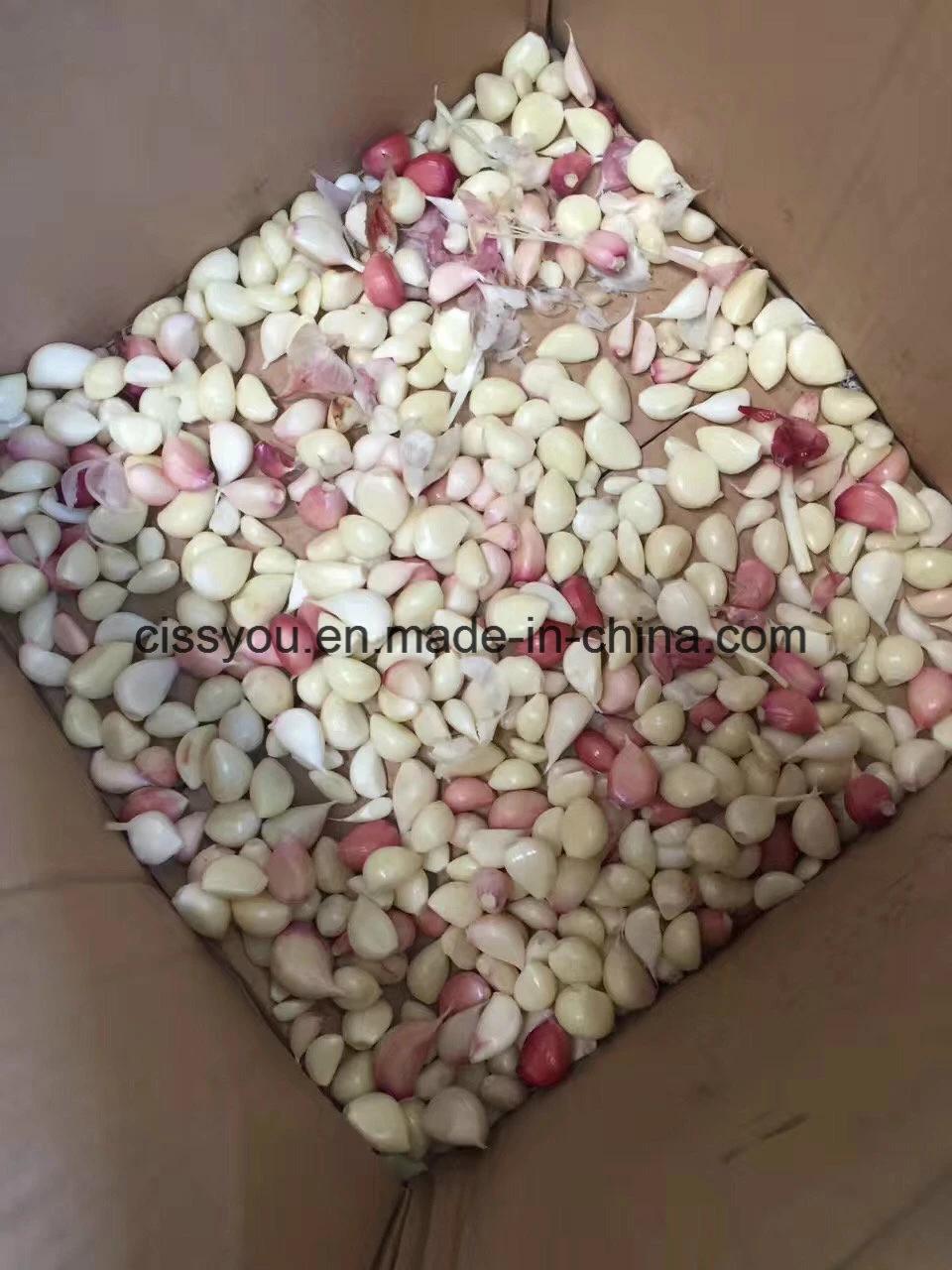 Garlic Separating Separator Breaking Peeling Stripper Machine