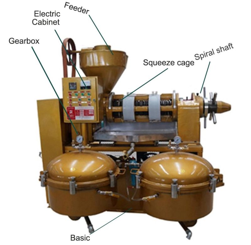 2 in 1 Automatic Combined Peanut Oil Press Machine with Filtration