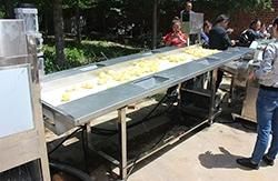 Full Automatic Potato Chips French Fries Machine Price