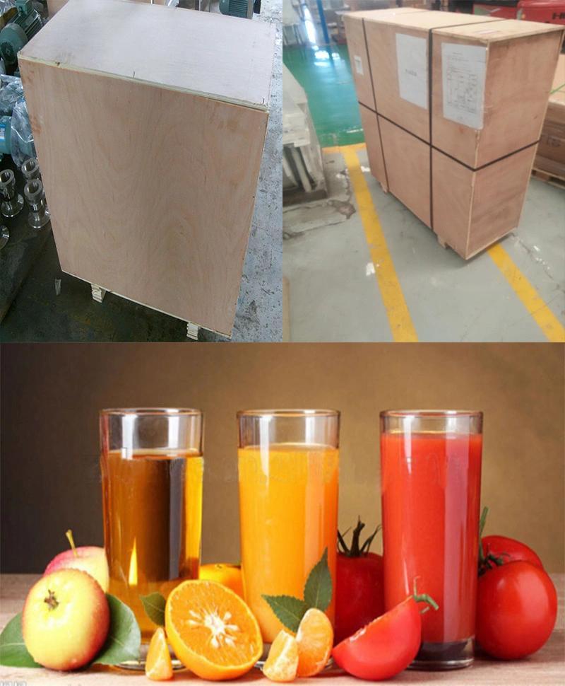 Apple Ginger Pear Lemon Grape Watermelon Industrial Juice Extractor