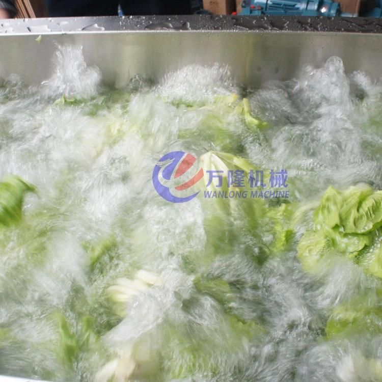 Industrial Ozone Vegetable Fruits Washing Machine Ultrasonic Leaf Vegetable Washer