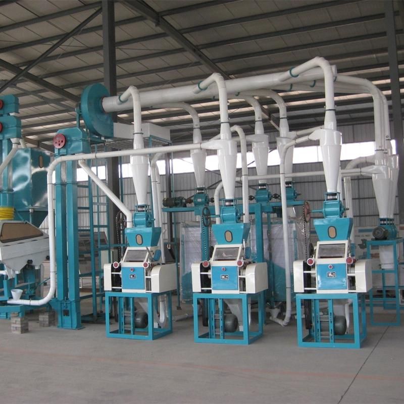 Maize Milling and Peeling Machine Flour Making Machine