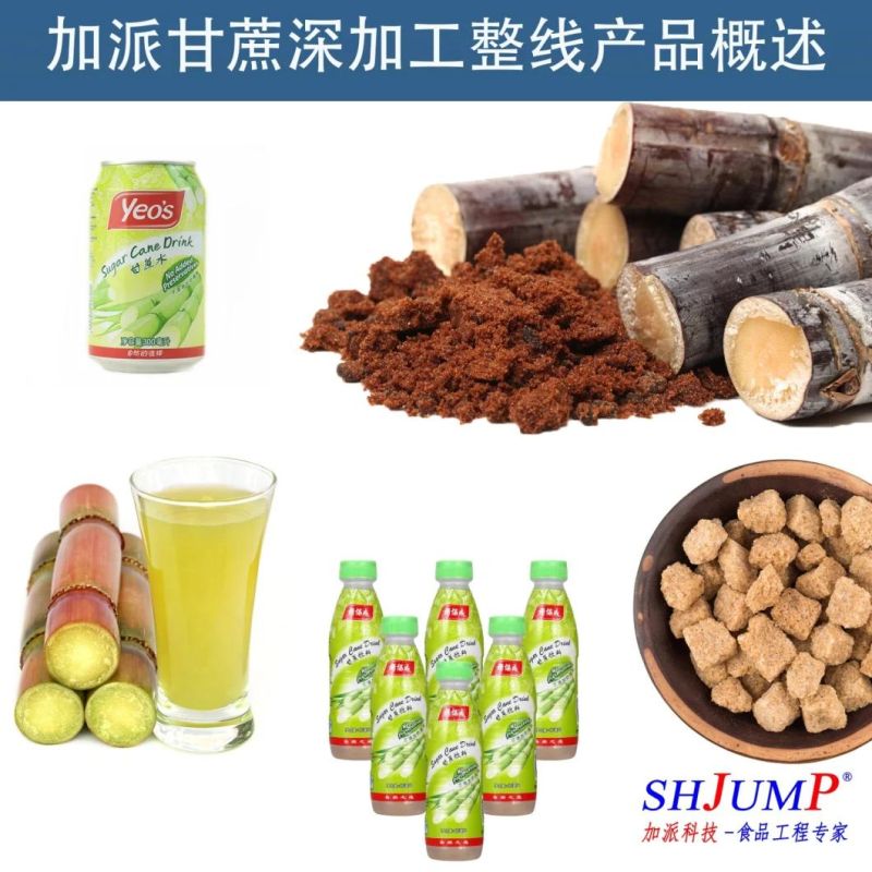 Sugar Cane Production Lines/Sugar Cane Juice Processing Line and Machines/Sugar Cane Juicing Machine/Sugarcane Juice Concentration Equipment