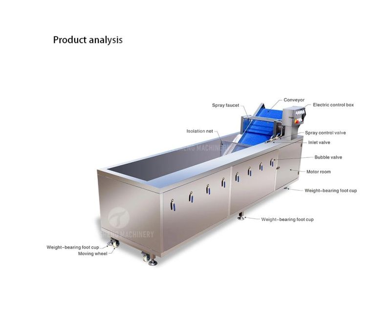 Industrial Automatic Food Processor Fruit Vegetable Ozone Bubble Washer Ultrasonic Ginger Cassava Washing Machine Ts-X300