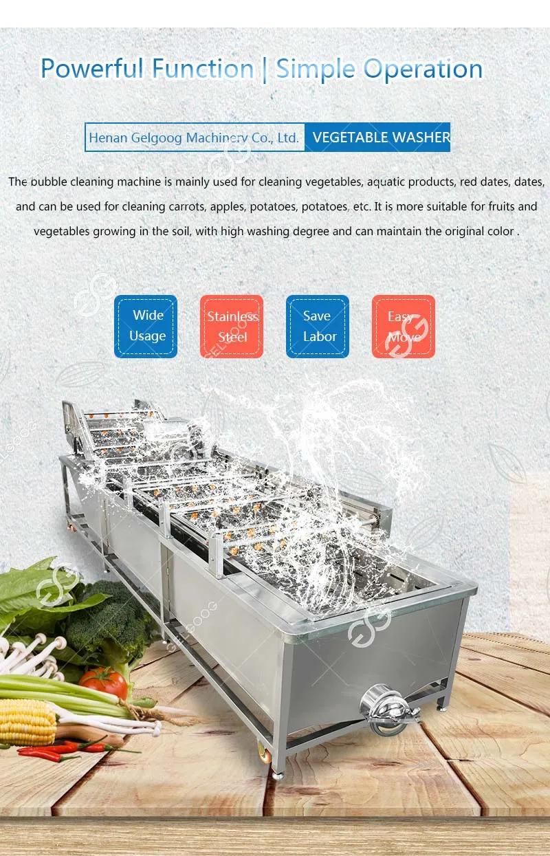 Gelgoog Factory Price Air Bubble Melon Pumpkin Cleaning Pineapple Washer Raisin Washing Drying Machine