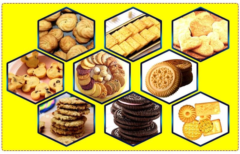 Stainless Steel High Quality Biscuit Cookies Production Line Vegetable Biscuit Making Machine Small Kids Biscuit Machine