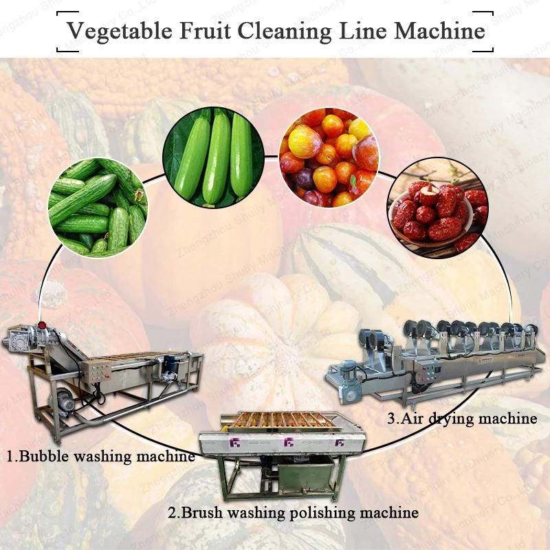 Vegetable Line Washing Fruit Washer Cleaning Processing Machine