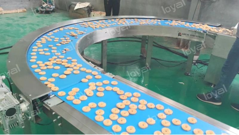 Soft and Hard Biscuit Making Machine Biscuit Plant Biscuit Processing Equipment with Factory Price