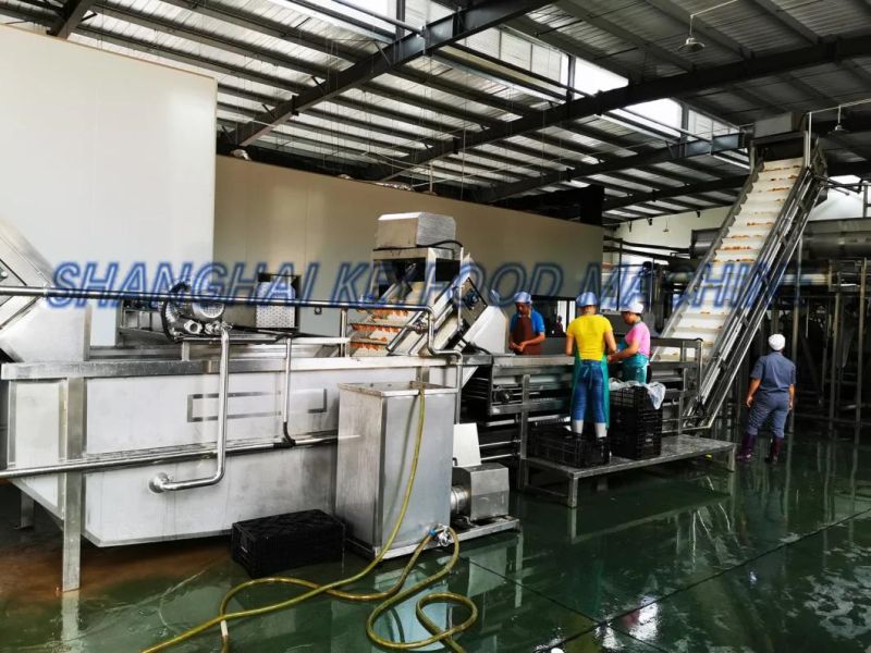 Shanghai Automatic Turnkey Fruit Juice Production Line