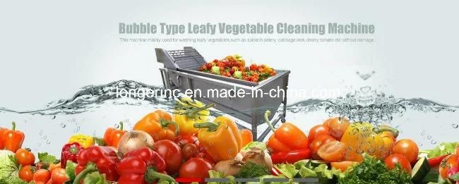 Industrial Vegetable Washing Machine Fruit Washer for Sale