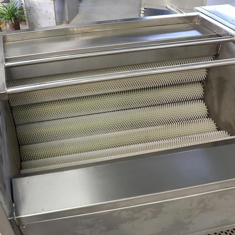 Brush Type Fruit and Vegetable Peeling Machine /Vegetable and Fruit Washing Machine /Fruit and Vegetable Cleaning Machine