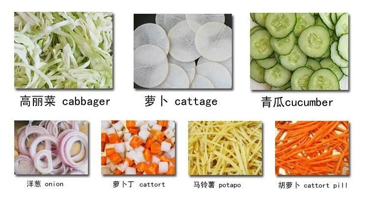 Multi-Functional Vegetable and Fruit Cutter Vegatable Slicing Machine