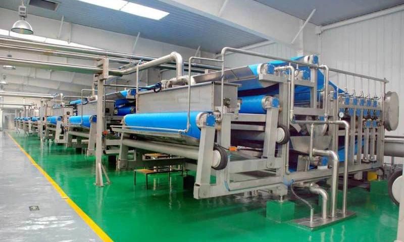 Fruit Puree/Vegetable Puree/Infant Supplementary Food Processing Machine/Production Equippemt