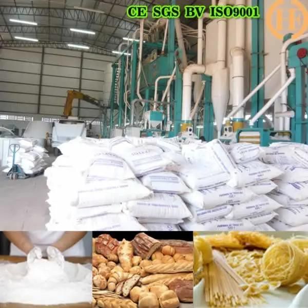 Overseas Installation Service 50tpd Wheat Flour Milling Machine