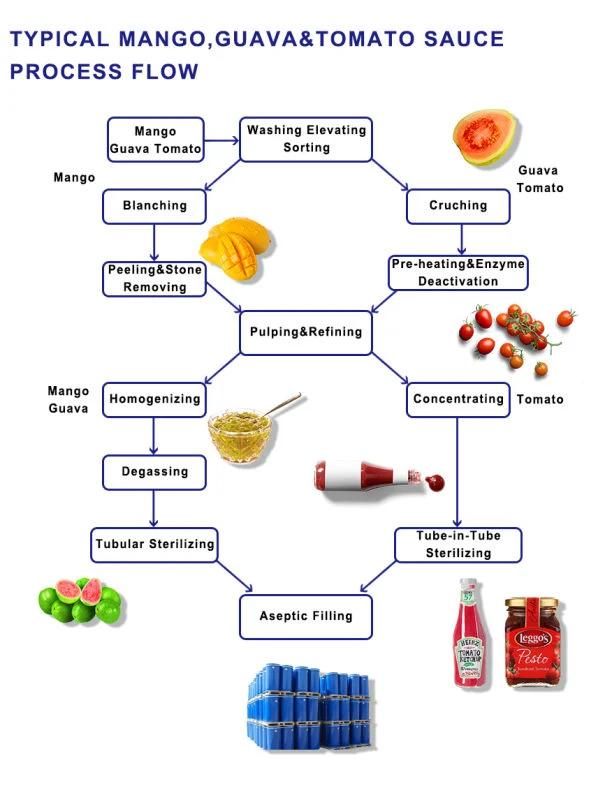 Tomato Processing Machine -Turn Key Solution