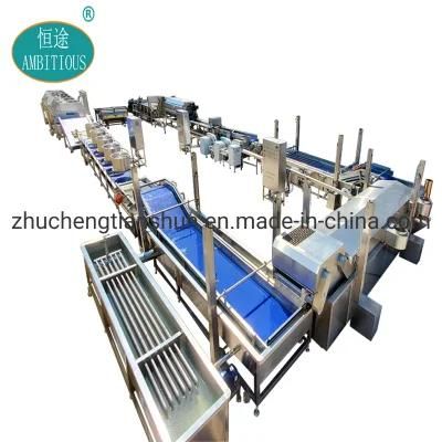 Root Vegetable Processing Line