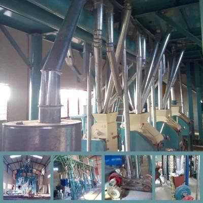 50t Maize Flour Making Machine for Sale