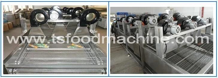 Conveyor Belt Dryer and Beltel Nuts Drying Machine with Competitive Price